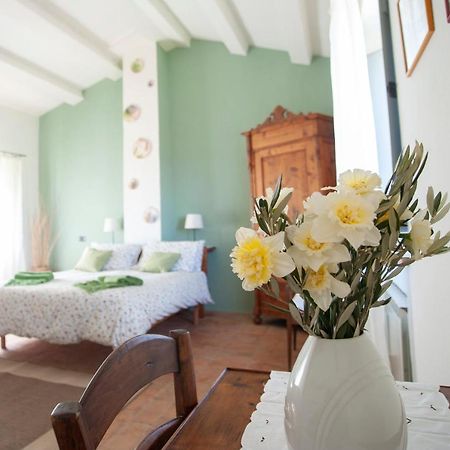 Radicondoli Villa San Regolino Whit Private Pool מראה חיצוני תמונה